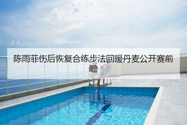 陈雨菲伤后恢复合练步法回暖丹麦公开赛前瞻